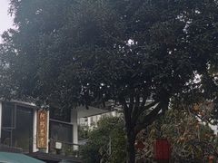 -阿巧茶庄