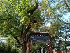 -北京国子监胡同