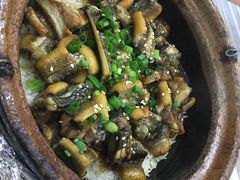 -红星光发煲仔饭(大石街店)
