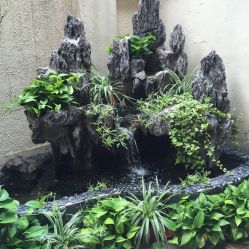 -素颜秀·纹眉·野生眉·纹唇半永久