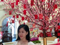 -深圳东部华侨城茵特拉根酒店