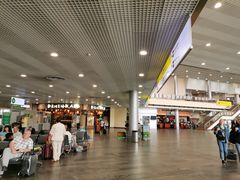 -谢列梅捷沃国际机场