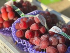 -马陆小张葡萄园农家乐