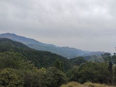-莫干山风景区