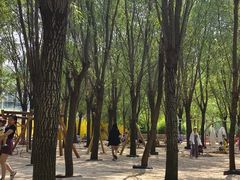 -西部长青自然儿童乐园