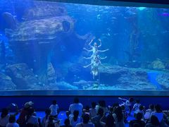 -多彩贵州城极地海洋世界