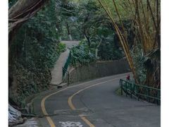 -中山公园(石岐街道)