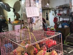 -树木岭集贸市场(劳动东路)