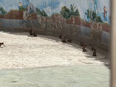 -青藏高原野生动物园
