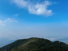 -梧桐山风景名胜区