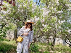 -石家庄市植物园