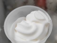 -洪馨椰子