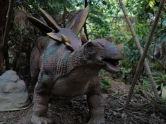 -呀路古热带植物园-恐龙馆