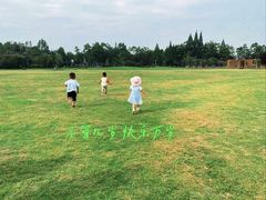-夏河溪乡野公园