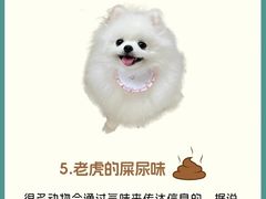 -守诺宠物医院·眼科· 特色牙科·异宠专科(虹口店)