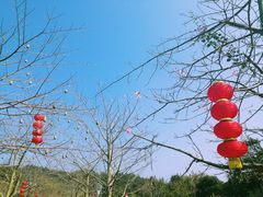 -红山村