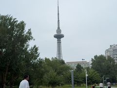 -龙塔
