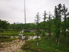 -长田漾湿地公园