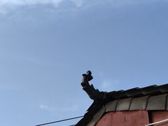 -桃源山庄·水蜜桃采摘·柴火鸡·烧烤团建(龙泉山店)