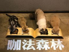 -咖法森林·咖啡  酒吧(天河店)