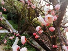 -无锡市市民中心