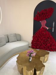-禾美嘉医疗美容