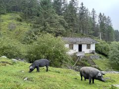 -硗碛藏寨·神木垒景区