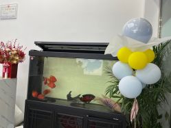 -SOR索尔祛痘·面部肌肤管理