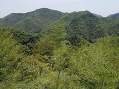 -宁波浙东大竹海景区