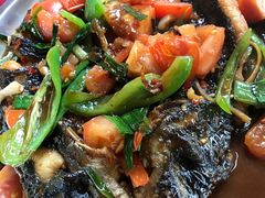 -生态苑农庄(十里画廊遇龙河店)