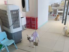 -怪兽屋·羊驼·猫咖·狗咖(俊华广场店)