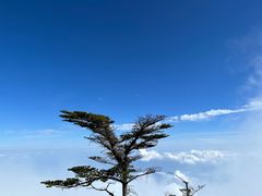 -峨眉山风景名胜区