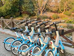 -上海海湾国家森林公园