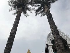 -西双版纳总佛寺