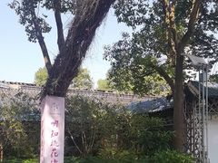 -南汇桃花村