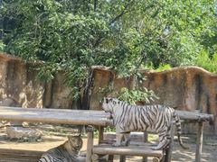 -北京野生动物园