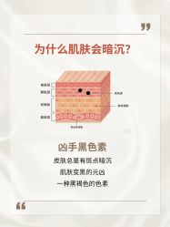点击看大图 -玛莲朵·海菲秀冰珀科