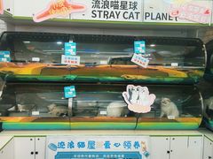 -凯德广场(学府店)