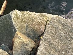 -黑龙潭风景区