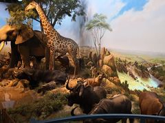 -陕西自然博物馆