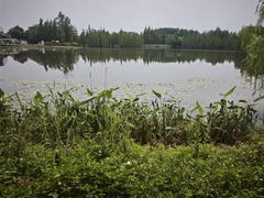 -白鹭湾湿地公园