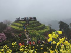 -石潭村