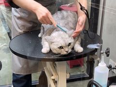 -PETKIT 小佩宠物·低压洗护·美容·寄养(安远店)