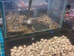 -九月海·海鲜自助(世纪东方店)