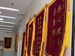 -中农国际动物医院24小时·猫科·骨科·急重症中心