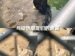 -广州动物园