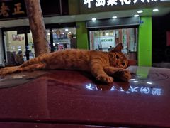 -广迎居老正兴菜馆