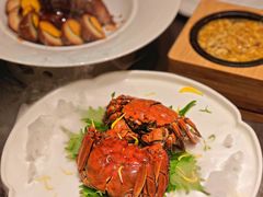 -望乡楼上海菜(日月光店)