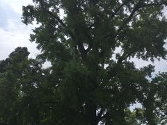 -金堂县云顶石城风景区