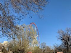 -哈尔滨文化公园